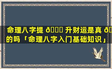 命理八字提 🍀 升财运是真 🌳 的吗「命理八字入门基础知识」